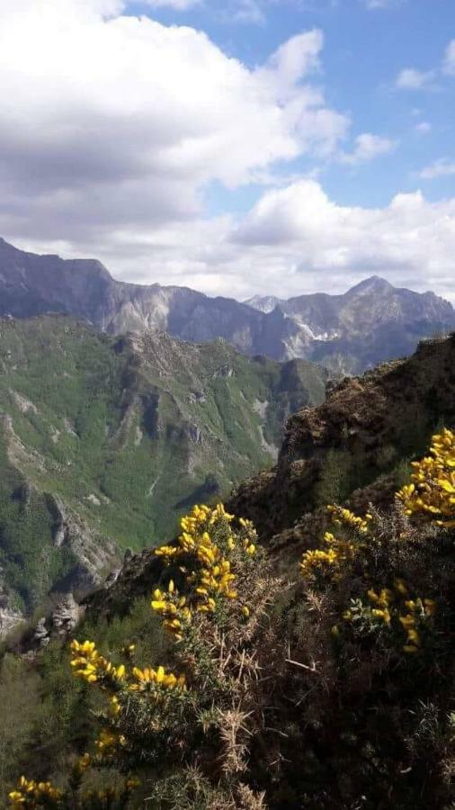 L ' Canton B & B Colonnata Εξωτερικό φωτογραφία